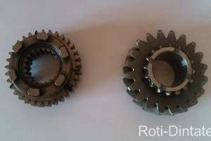 roti-dintate